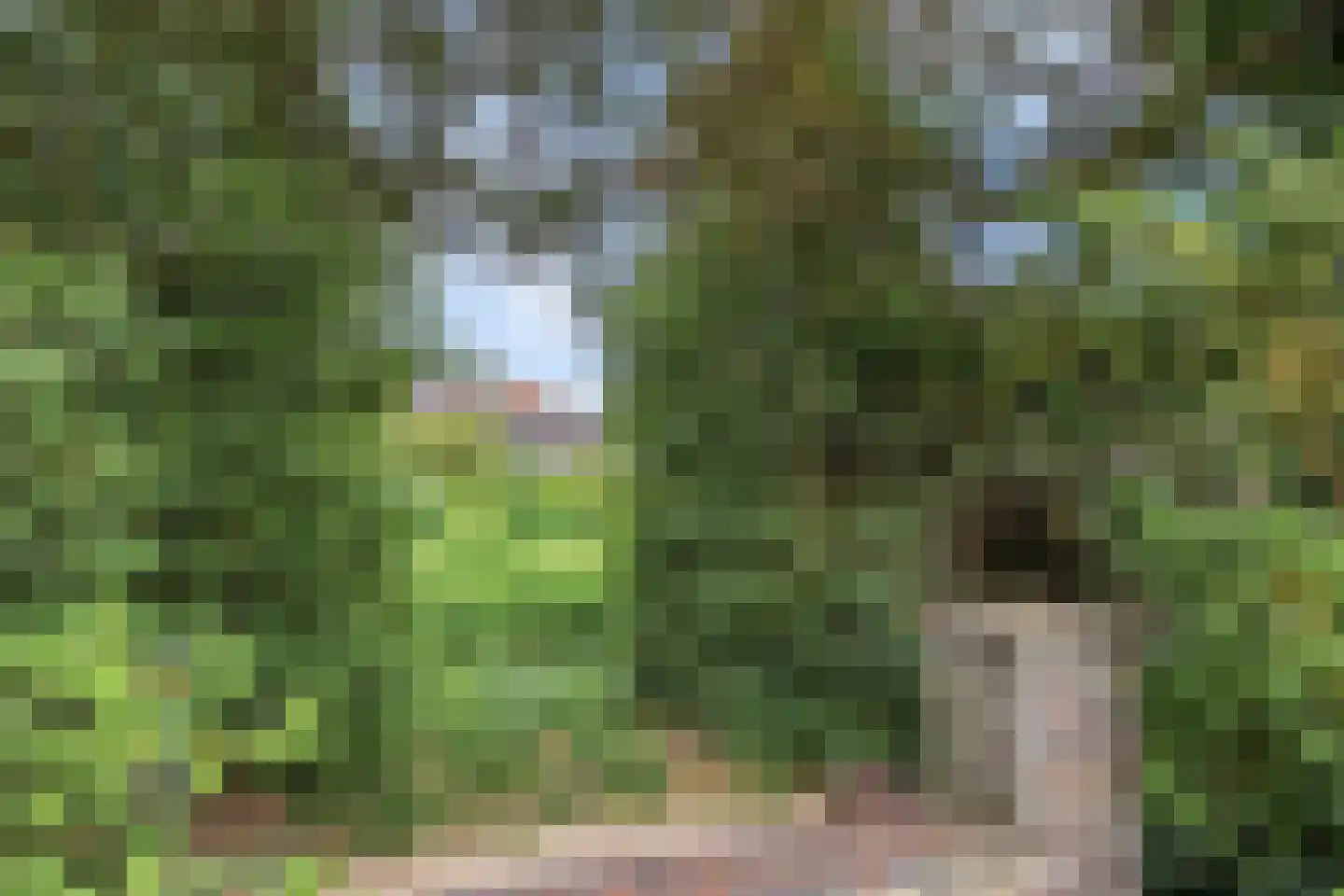 Mauritslaan 7 Oegstgeest thumbnail 56