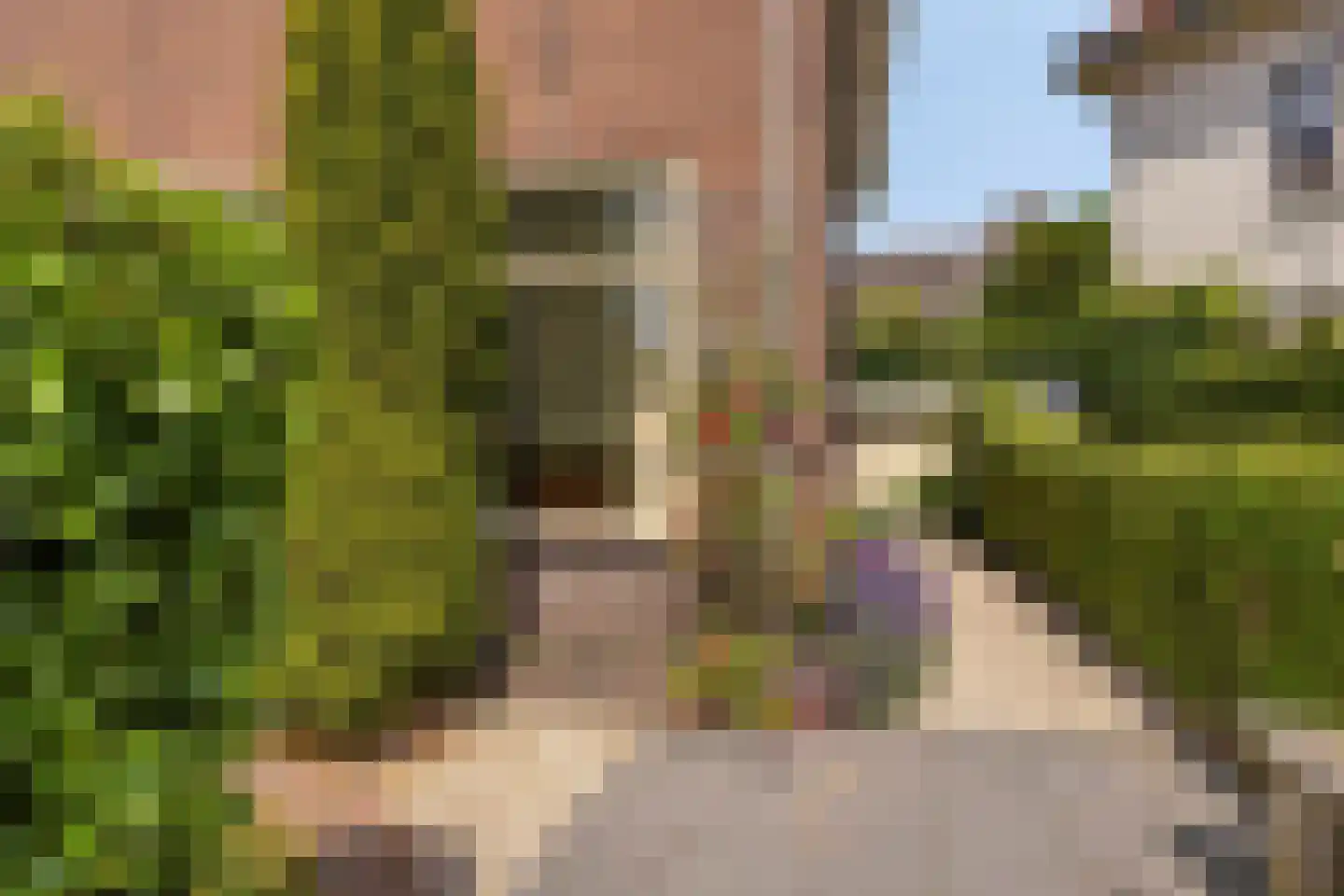Mauritslaan 7 Oegstgeest thumbnail 6
