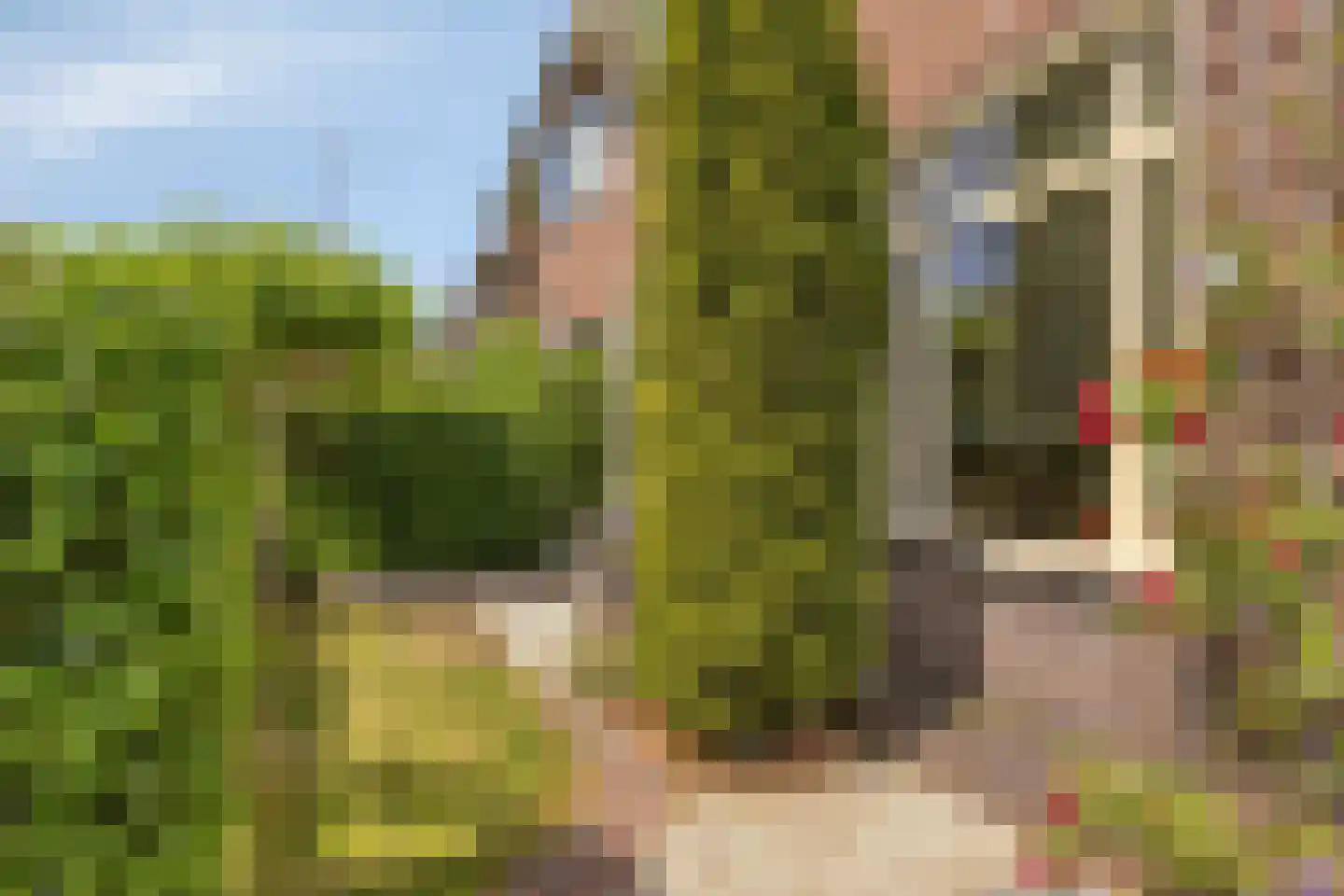Mauritslaan 7 Oegstgeest thumbnail 7