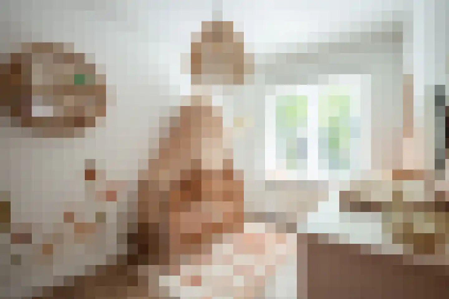 Mauritslaan 8 Geleen thumbnail 18