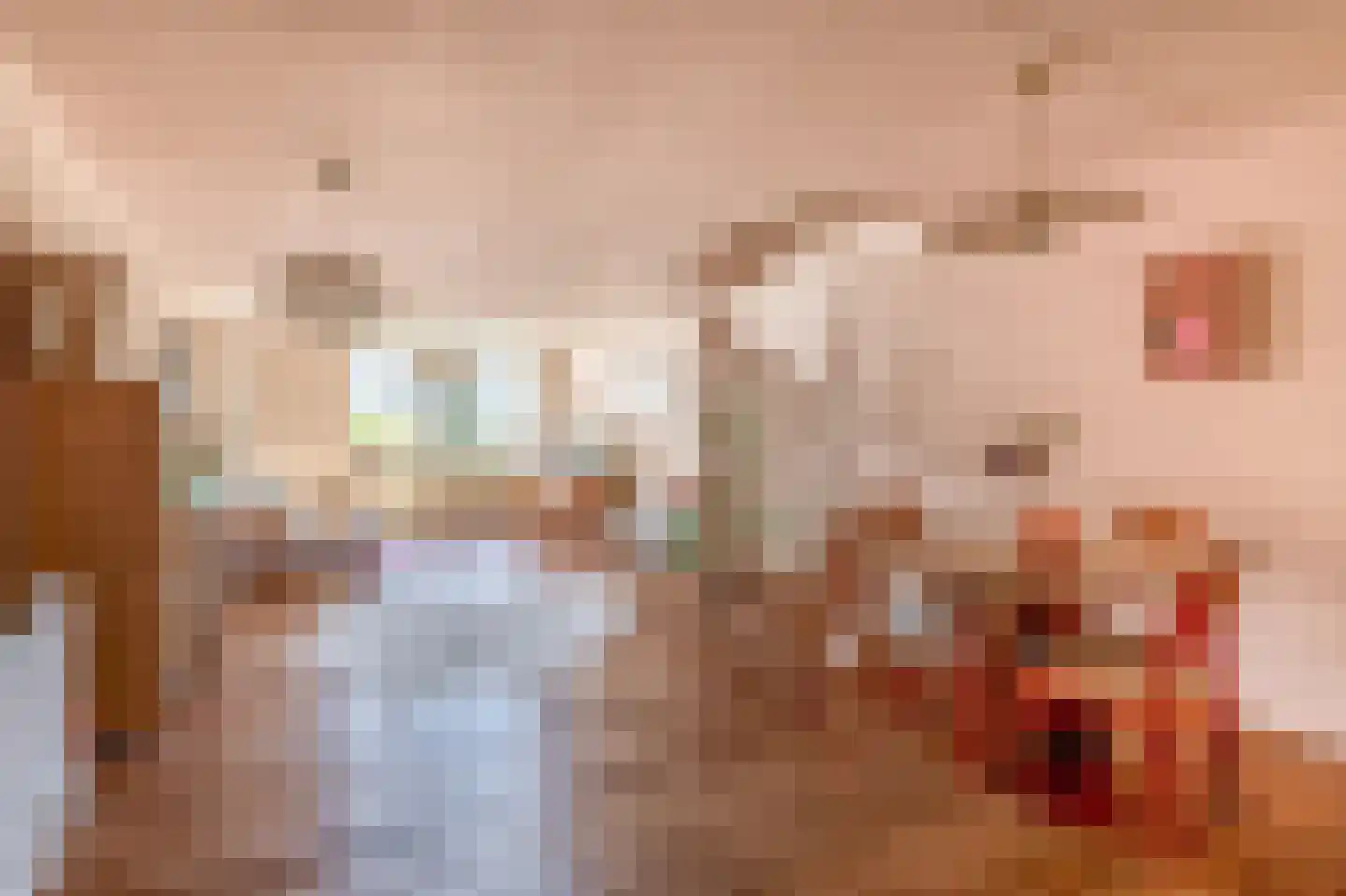Mauritsplaats 122 Rotterdam thumbnail 8
