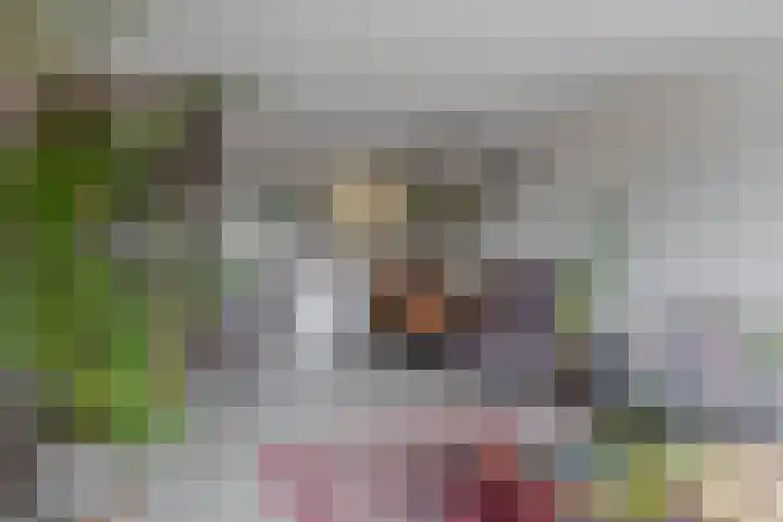 Mauritsplaats 128 Rotterdam thumbnail 15