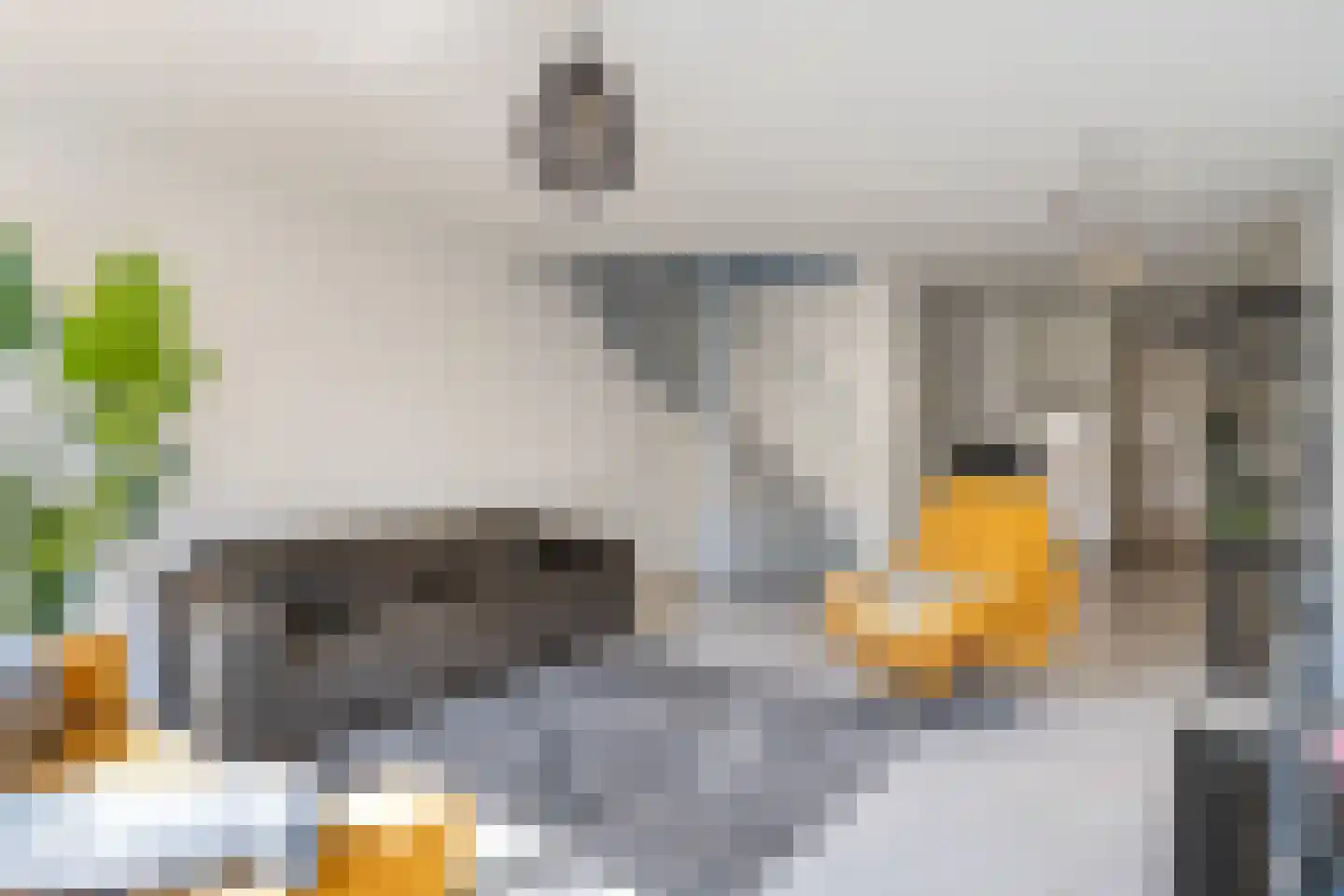 Mauritsplaats 28 Rotterdam thumbnail 10