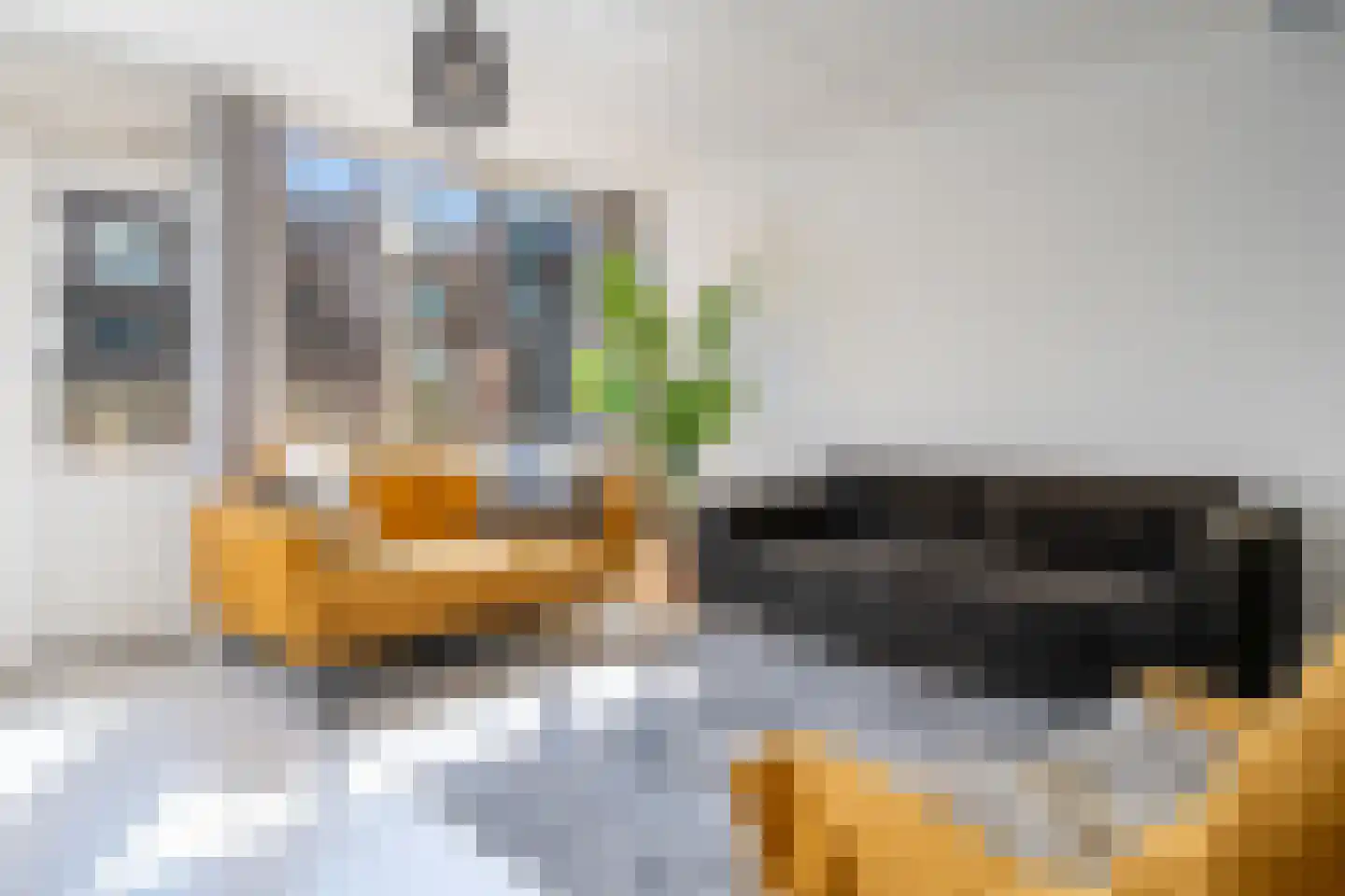 Mauritsplaats 28 Rotterdam thumbnail 6