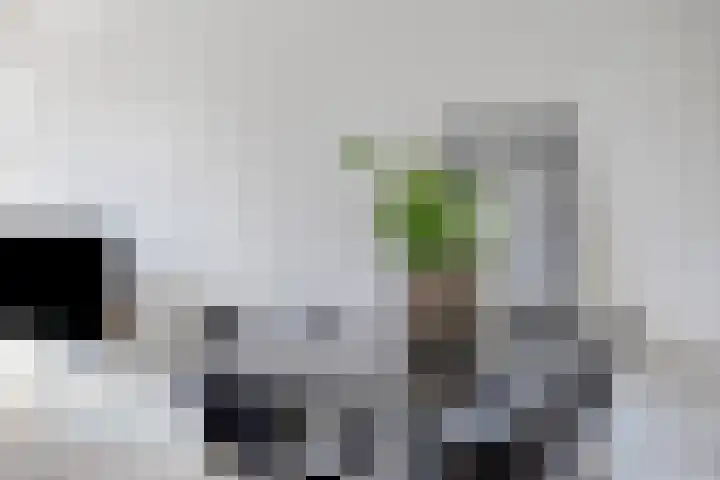 Mauritsplaats 36 Rotterdam thumbnail 11
