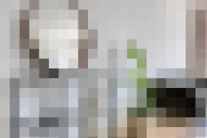 Mauritsplaats 36 Rotterdam thumbnail 12