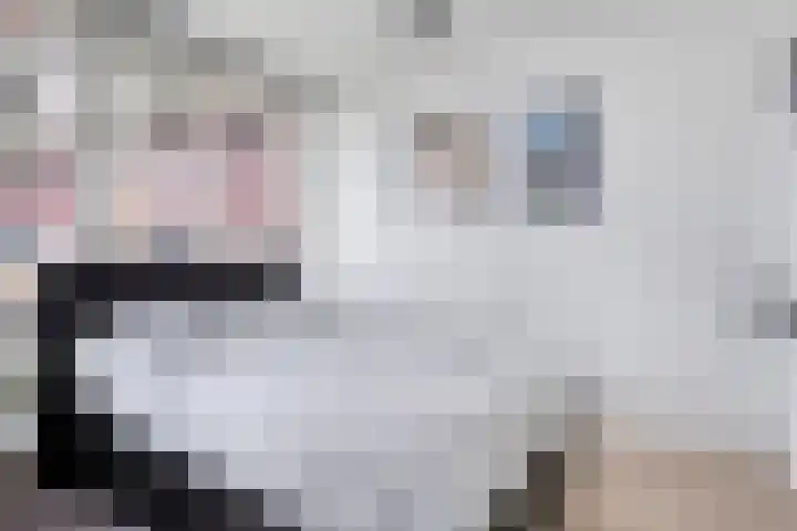 Mauritsplaats 36 Rotterdam thumbnail 22