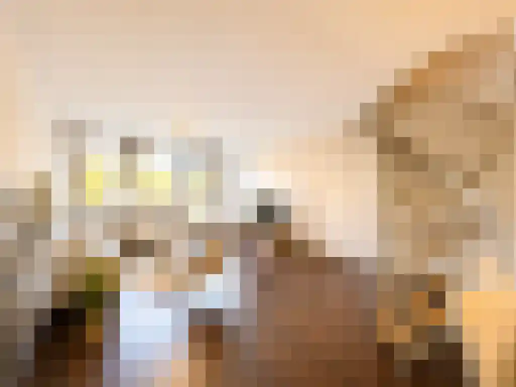 Mauritsplaats Rotterdam thumbnail 4