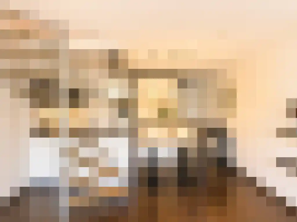 Mauritsplaats Rotterdam thumbnail 5