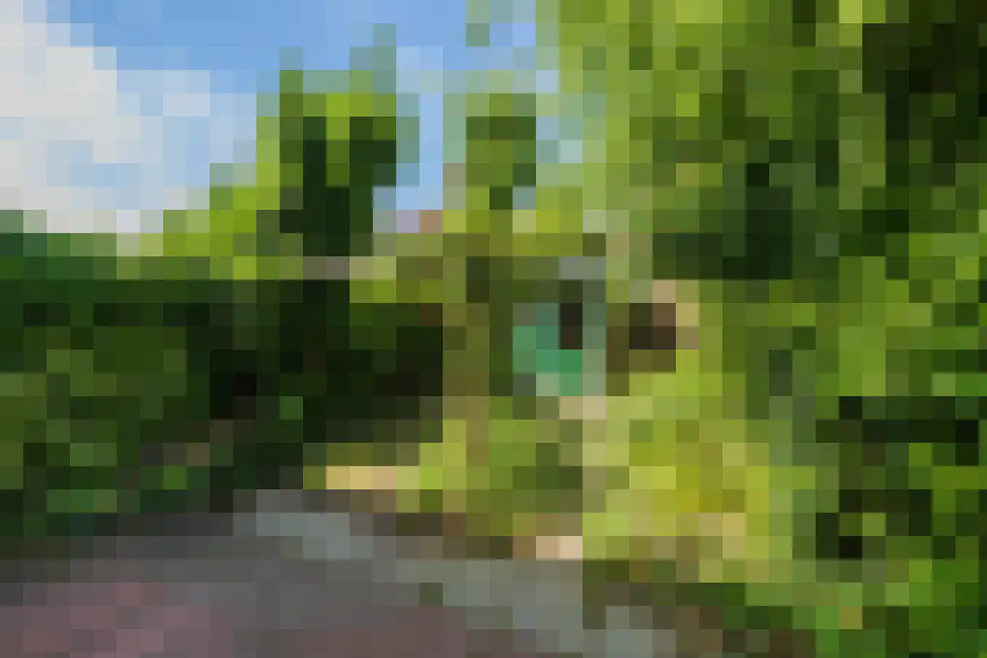 Mauritsplantsoen 23 Rijnsburg thumbnail 11
