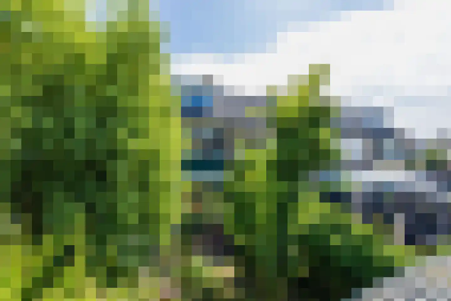 Mauritsplantsoen 23 Rijnsburg thumbnail 13