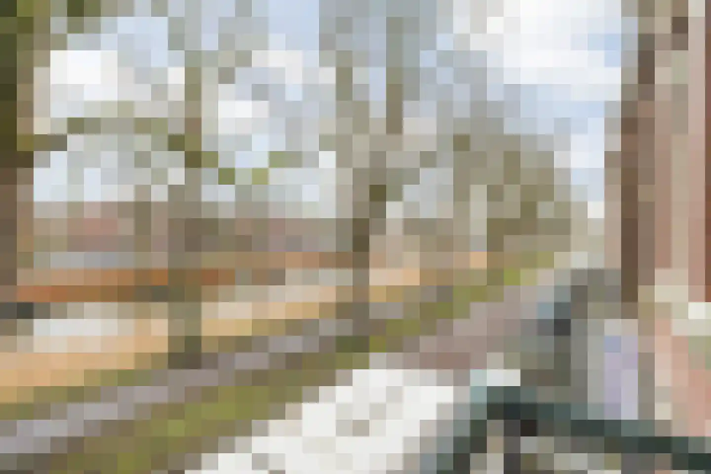 Mauritssingel 10 Breda thumbnail 32