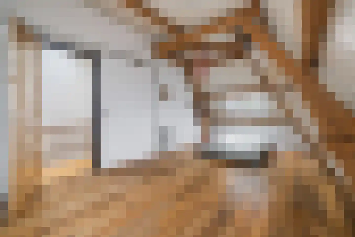 Mauritssingel 10 Breda thumbnail 39