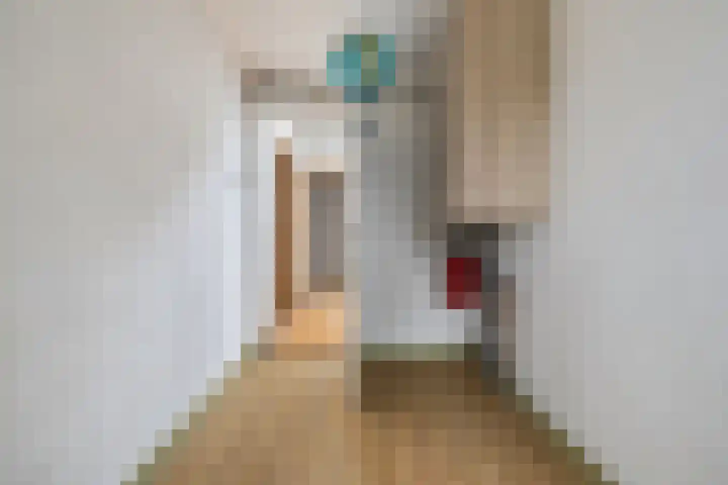 Mauritssingel 10 Breda thumbnail 41