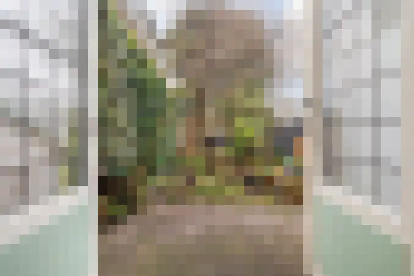 Mauritssingel 10 Breda thumbnail 43