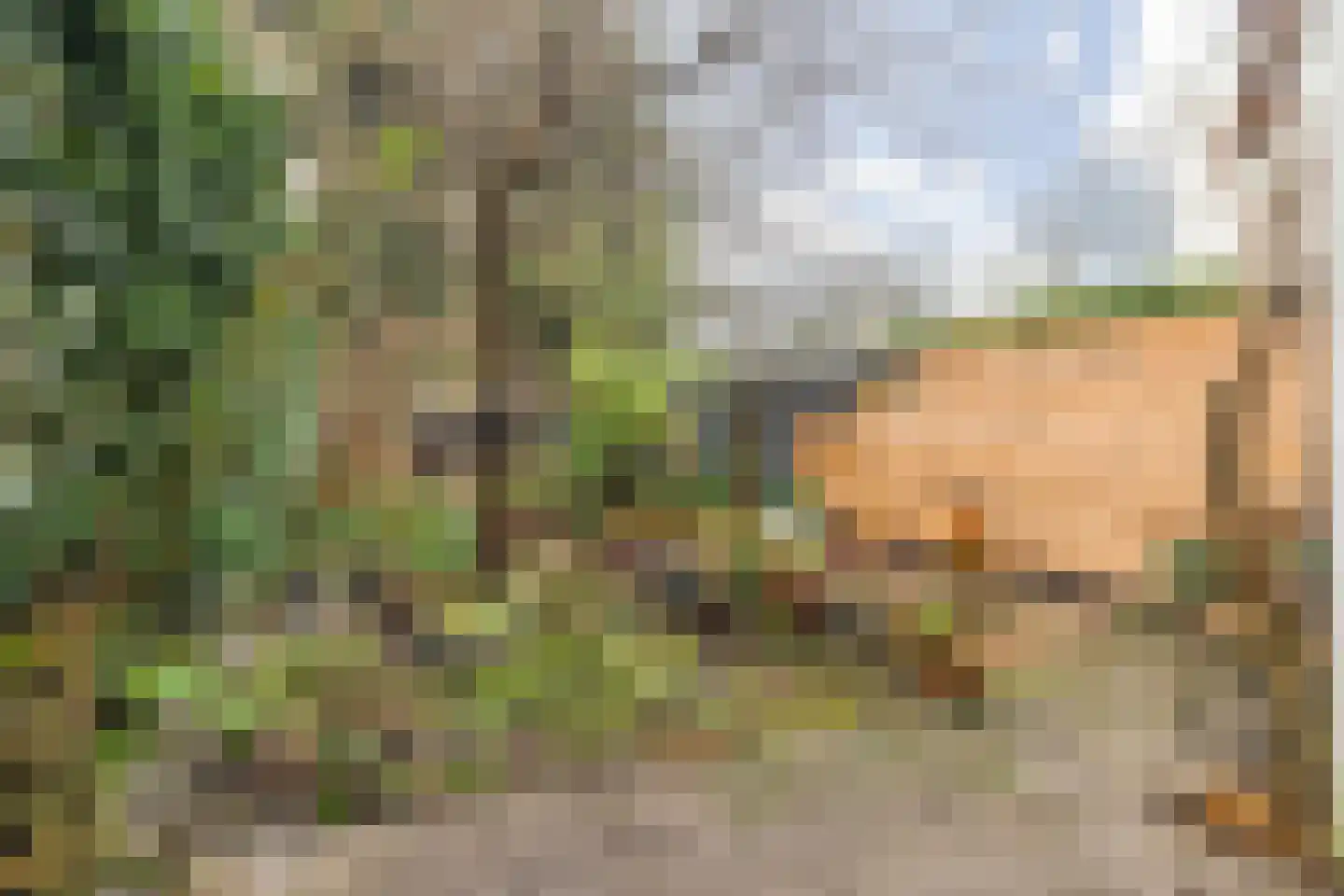 Mauritssingel 10 Breda thumbnail 44