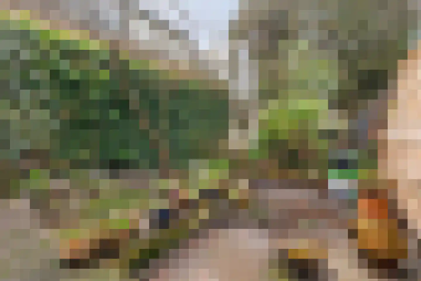 Mauritssingel 10 Breda thumbnail 45
