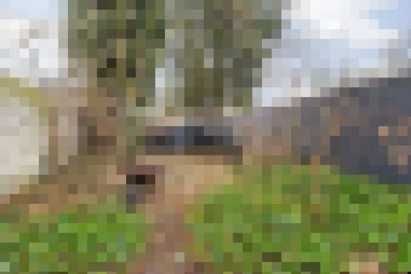 Mauritssingel 10 Breda thumbnail 46