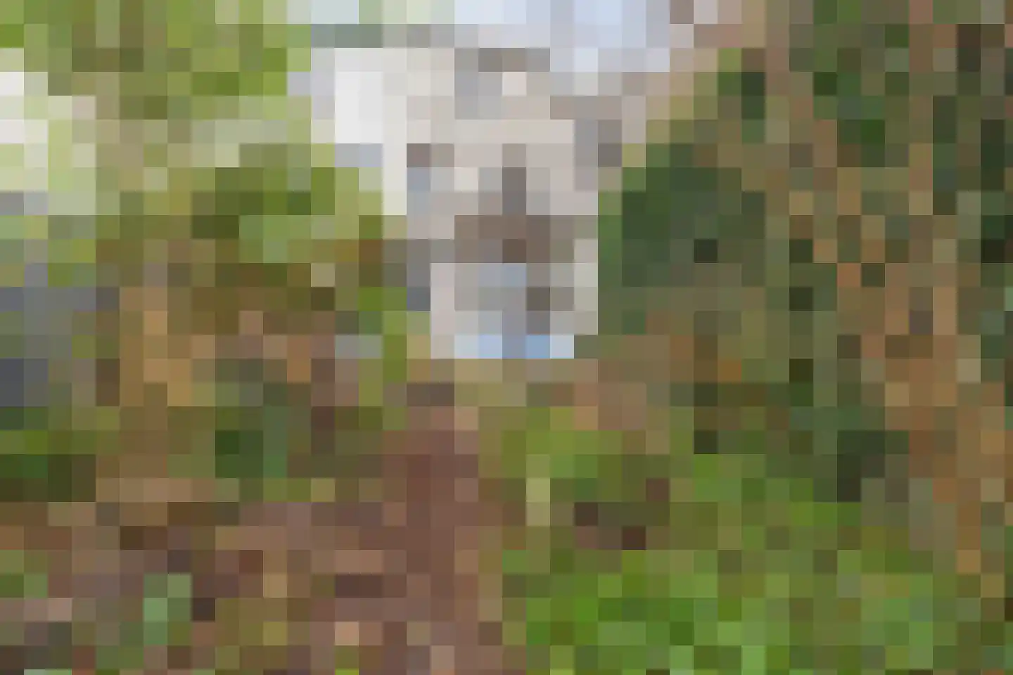 Mauritssingel 10 Breda thumbnail 47