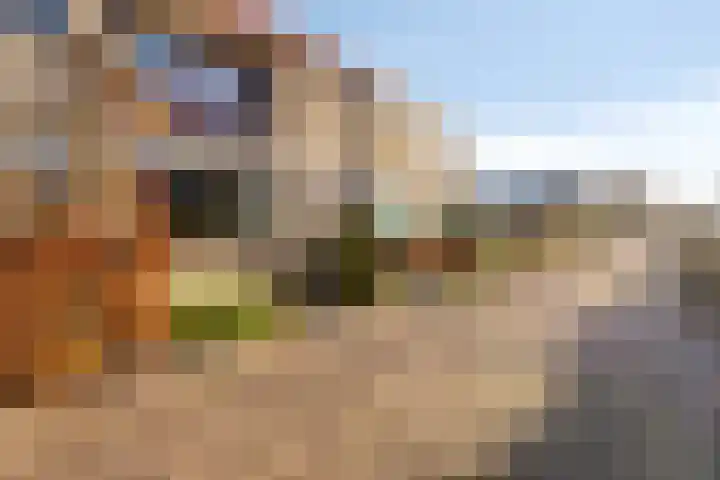 Mauritssingel 112 Leiderdorp thumbnail 25