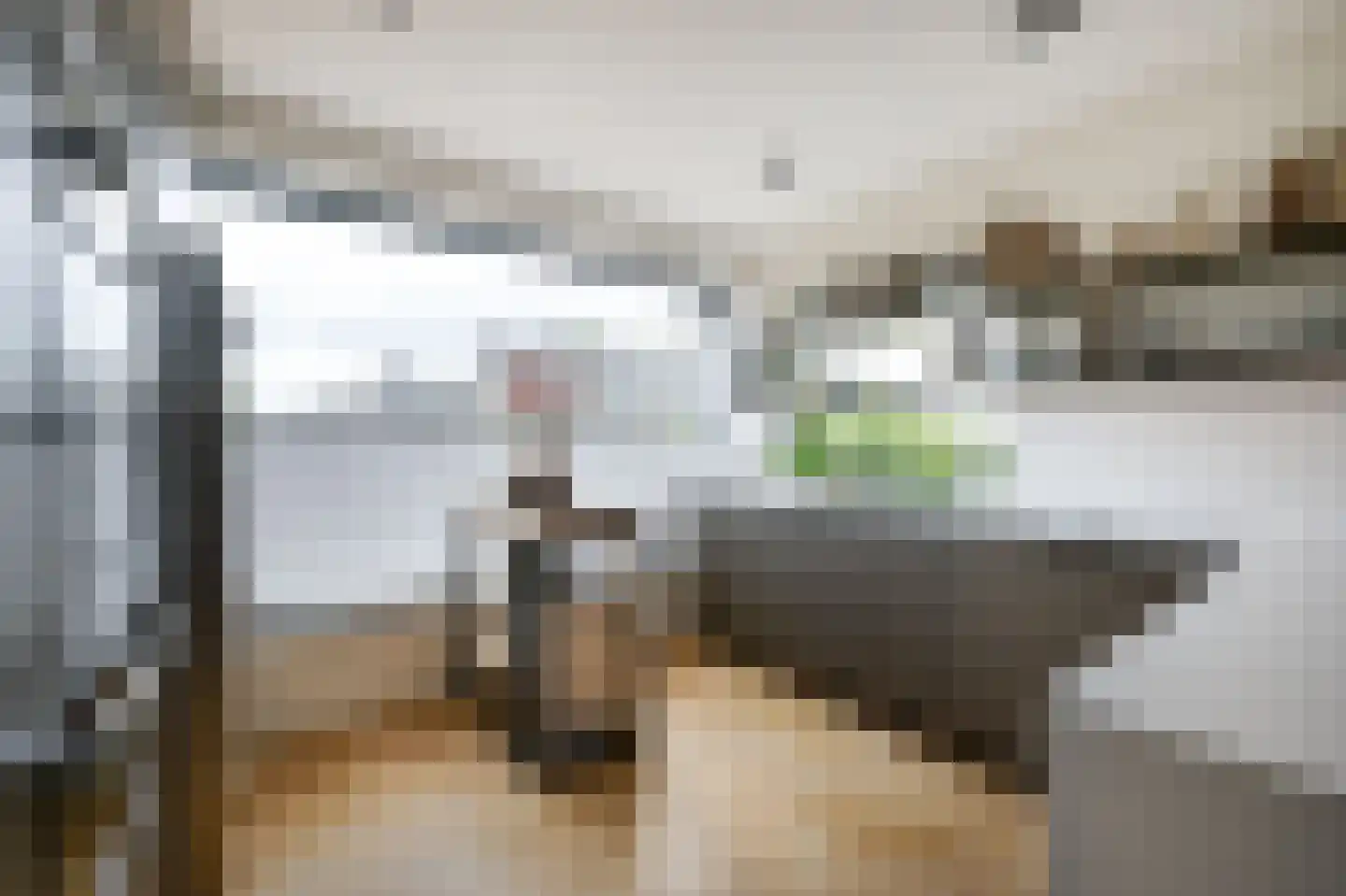 Mauritssingel 174 Leiderdorp thumbnail 13