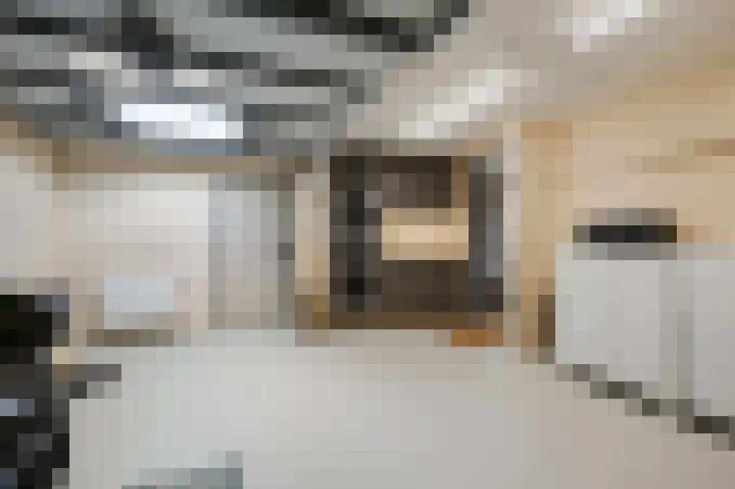 Mauritssingel 174 Leiderdorp thumbnail 16