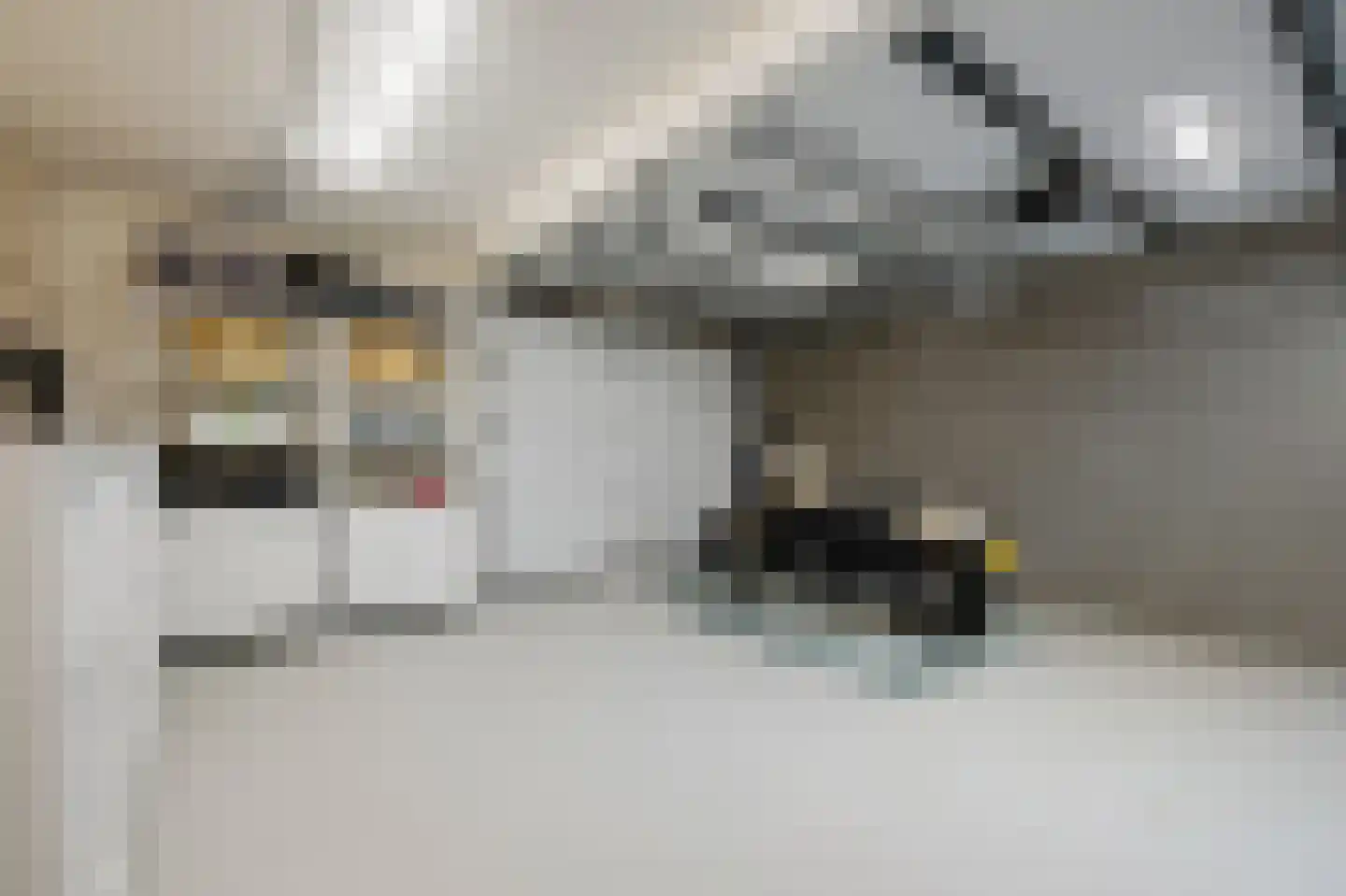 Mauritssingel 174 Leiderdorp thumbnail 17