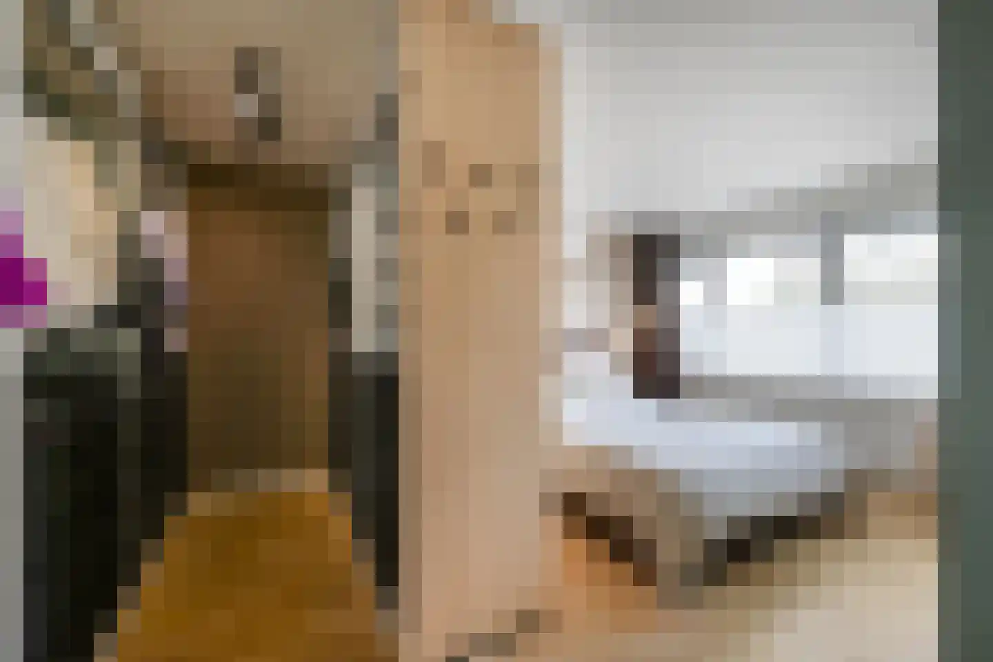 Mauritssingel 174 Leiderdorp thumbnail 23
