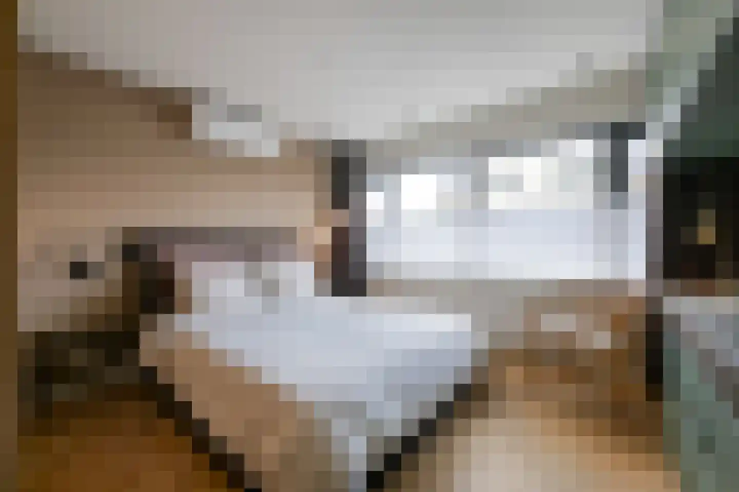 Mauritssingel 174 Leiderdorp thumbnail 24