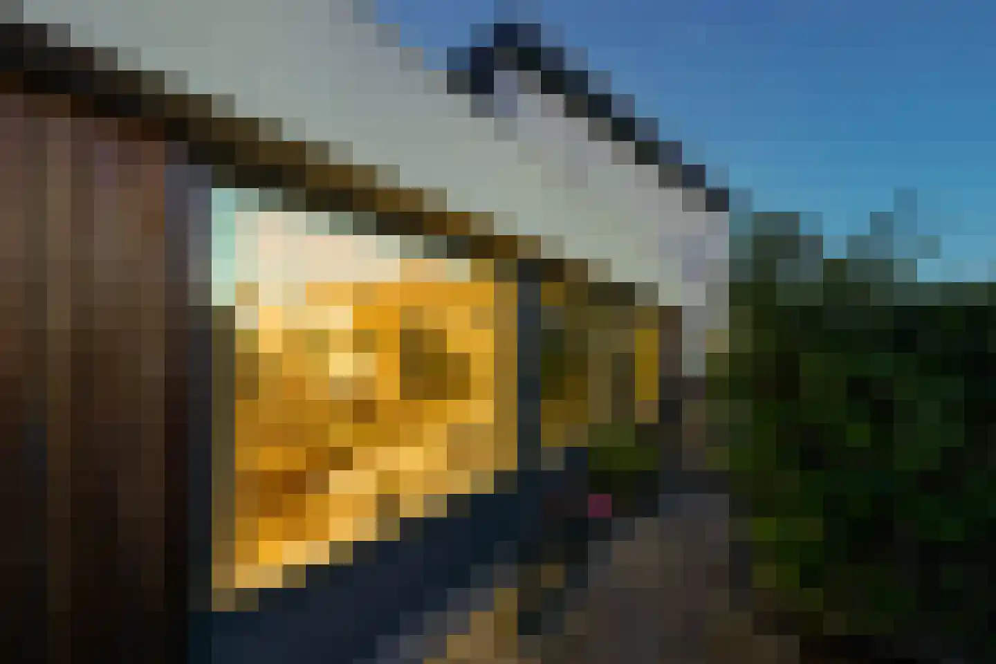 Mauritssingel 174 Leiderdorp thumbnail 6