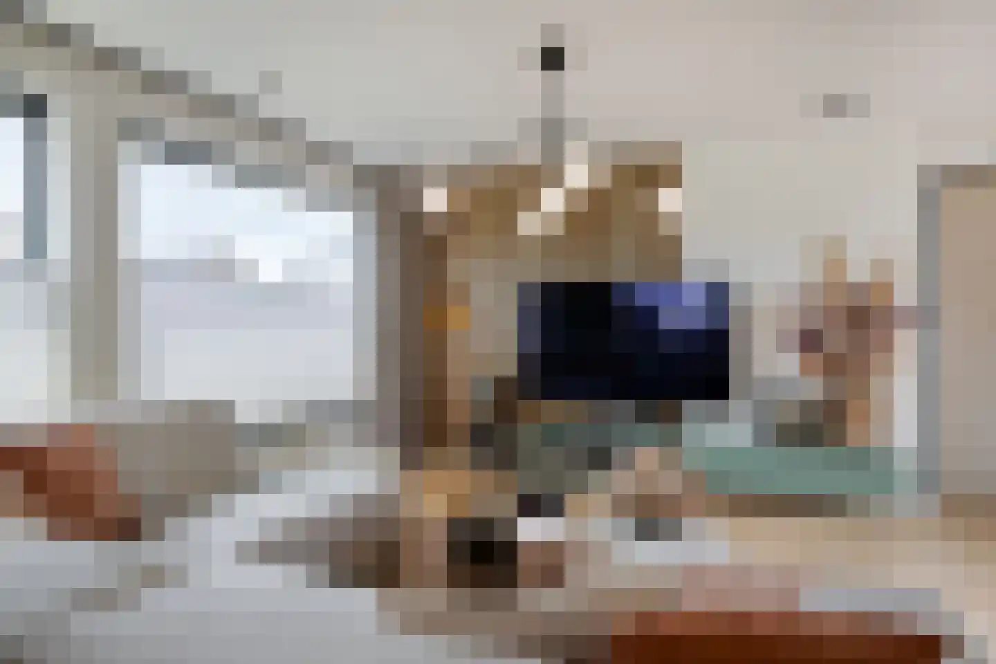 Mauritssingel 174 Leiderdorp thumbnail 7
