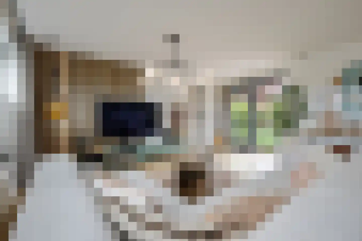 Mauritssingel 174 Leiderdorp thumbnail 8