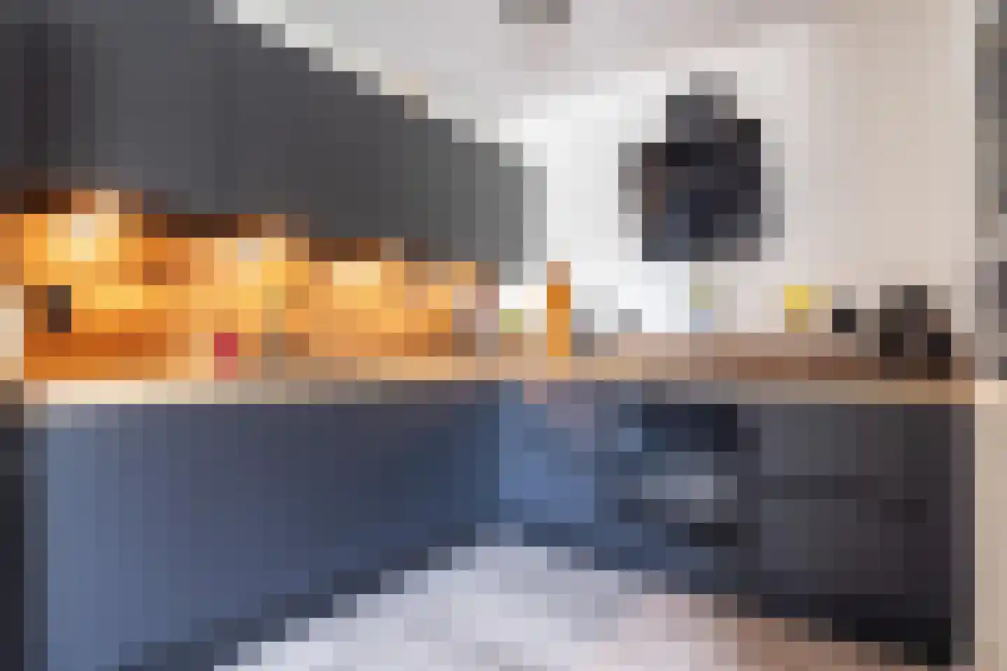 Mauritsstaete 6 Leiderdorp thumbnail 10