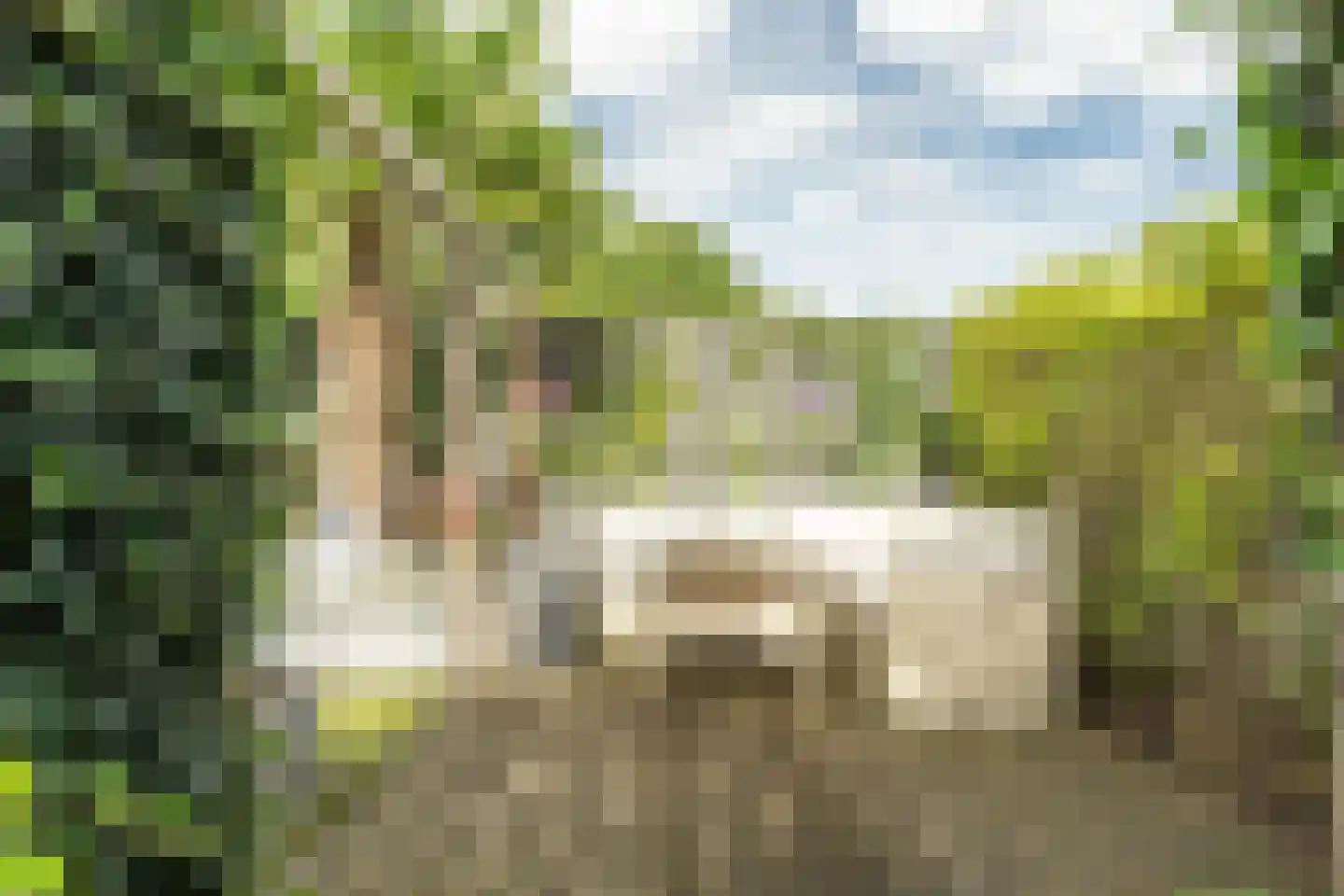 Mauritsstaete 6 Leiderdorp thumbnail 20