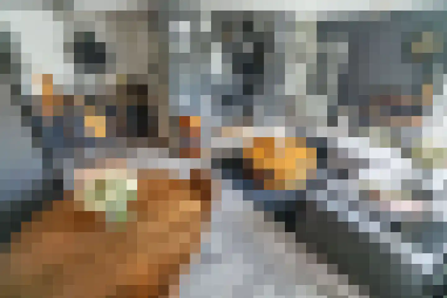 Mauritsstaete 6 Leiderdorp thumbnail 28