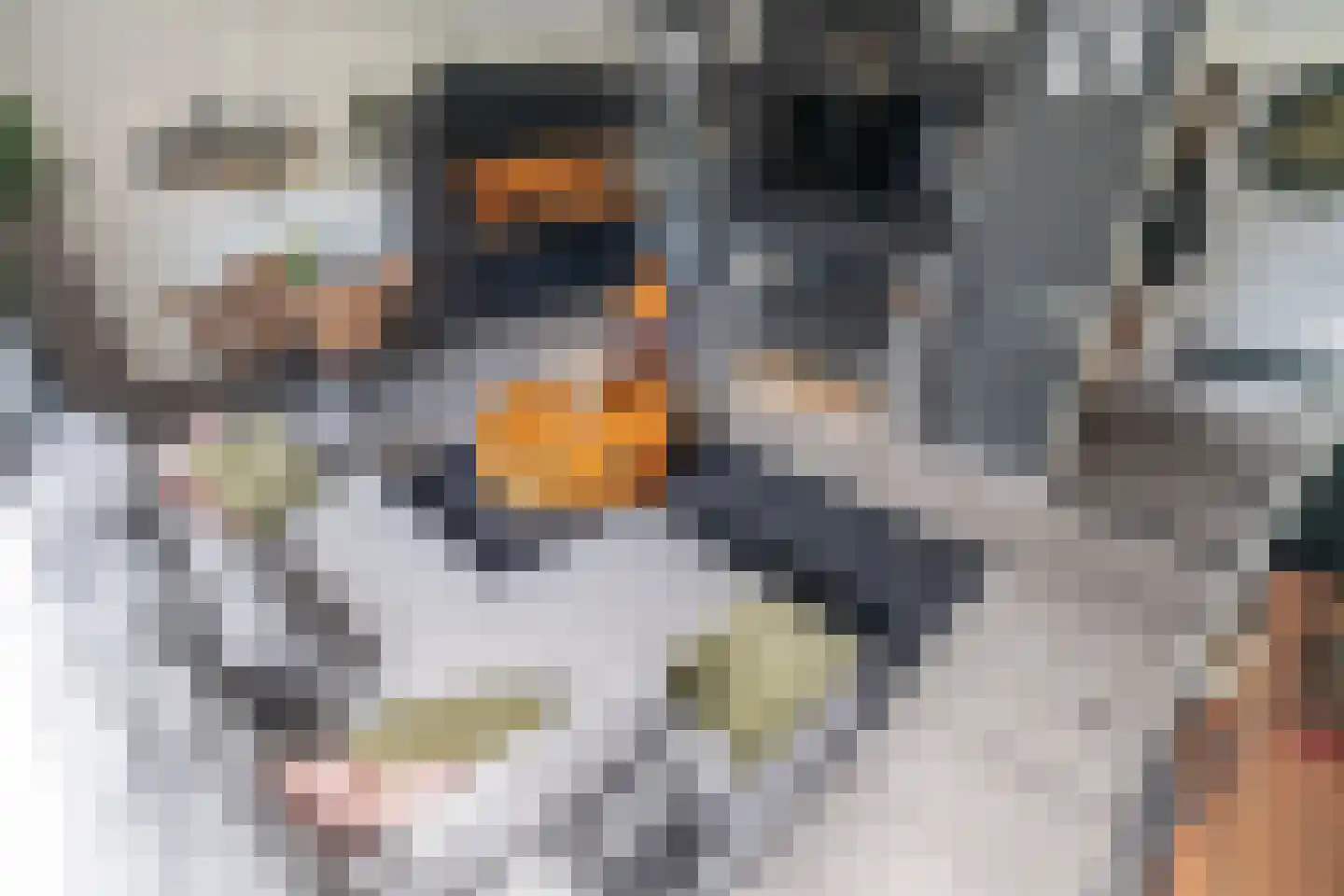 Mauritsstaete 6 Leiderdorp thumbnail 29