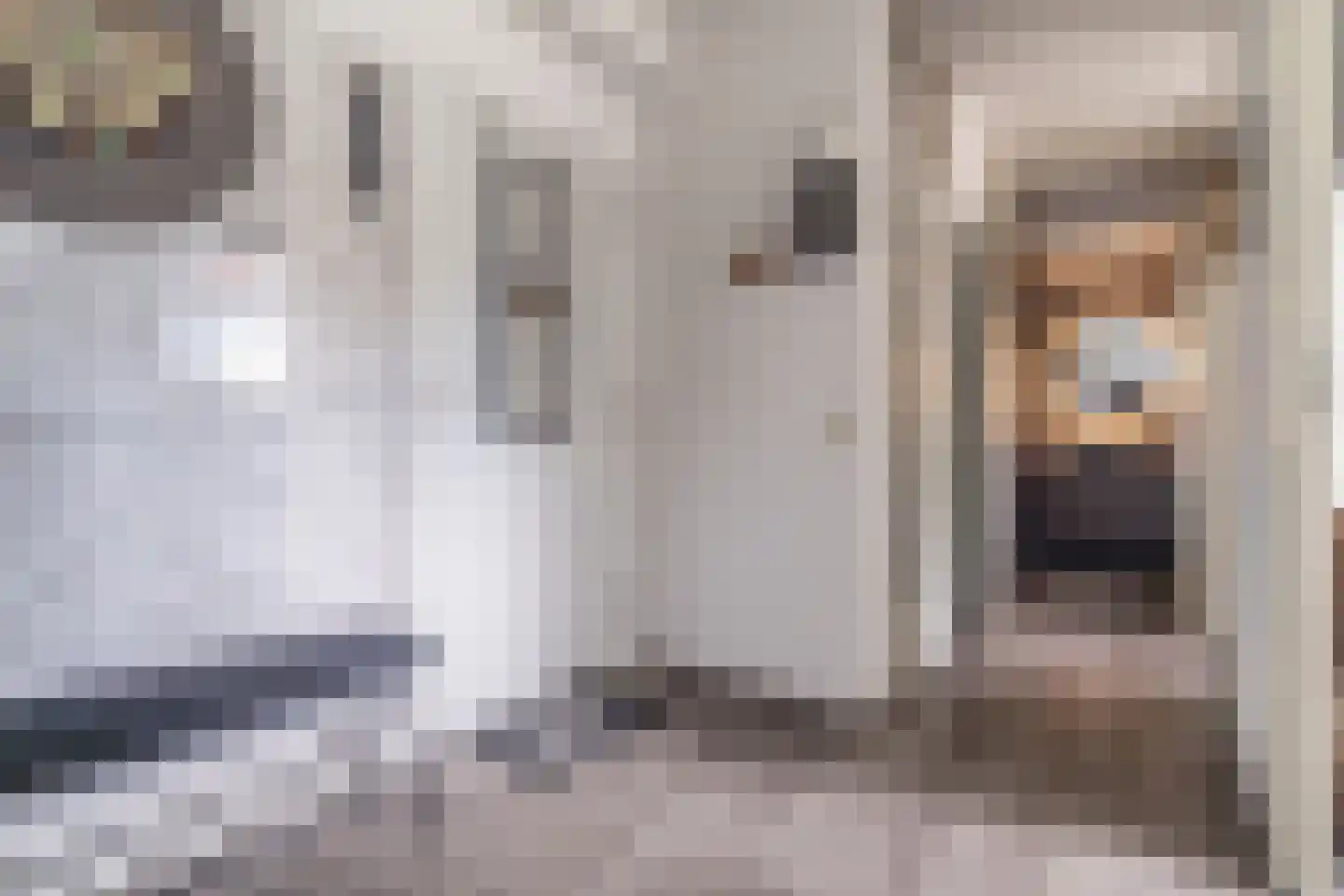 Mauritsstaete 6 Leiderdorp thumbnail 30