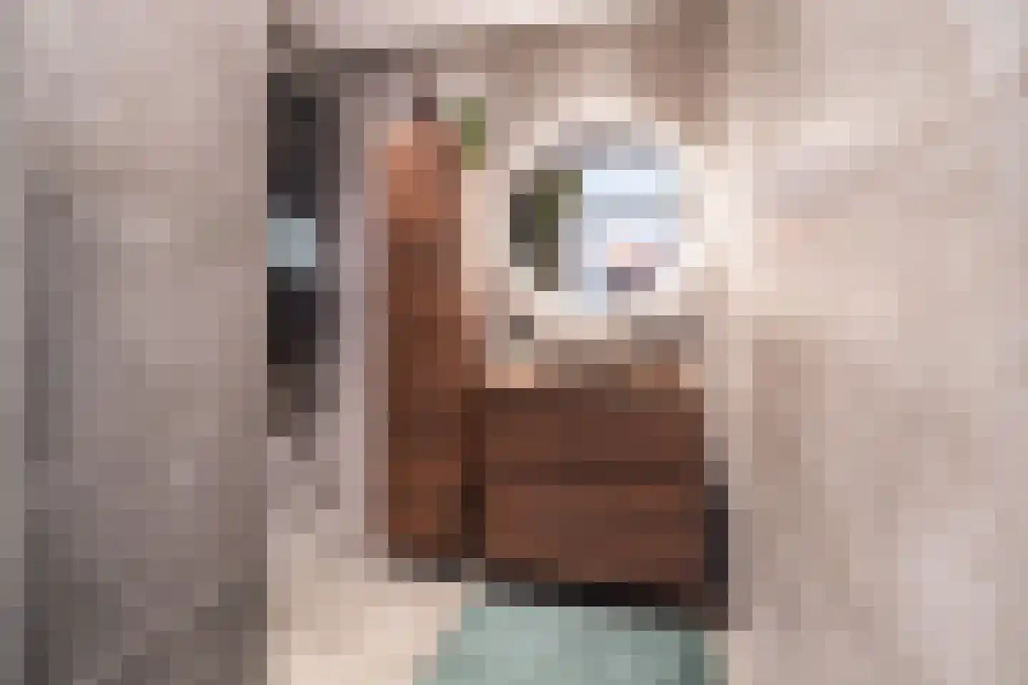Mauritsstaete 6 Leiderdorp thumbnail 31