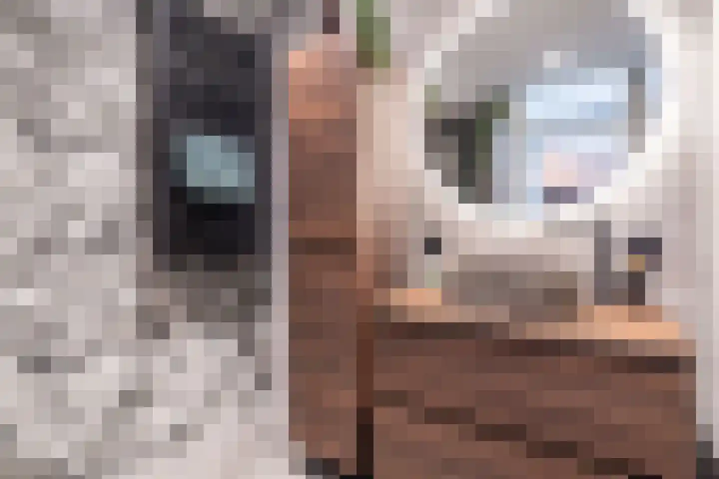 Mauritsstaete 6 Leiderdorp thumbnail 32