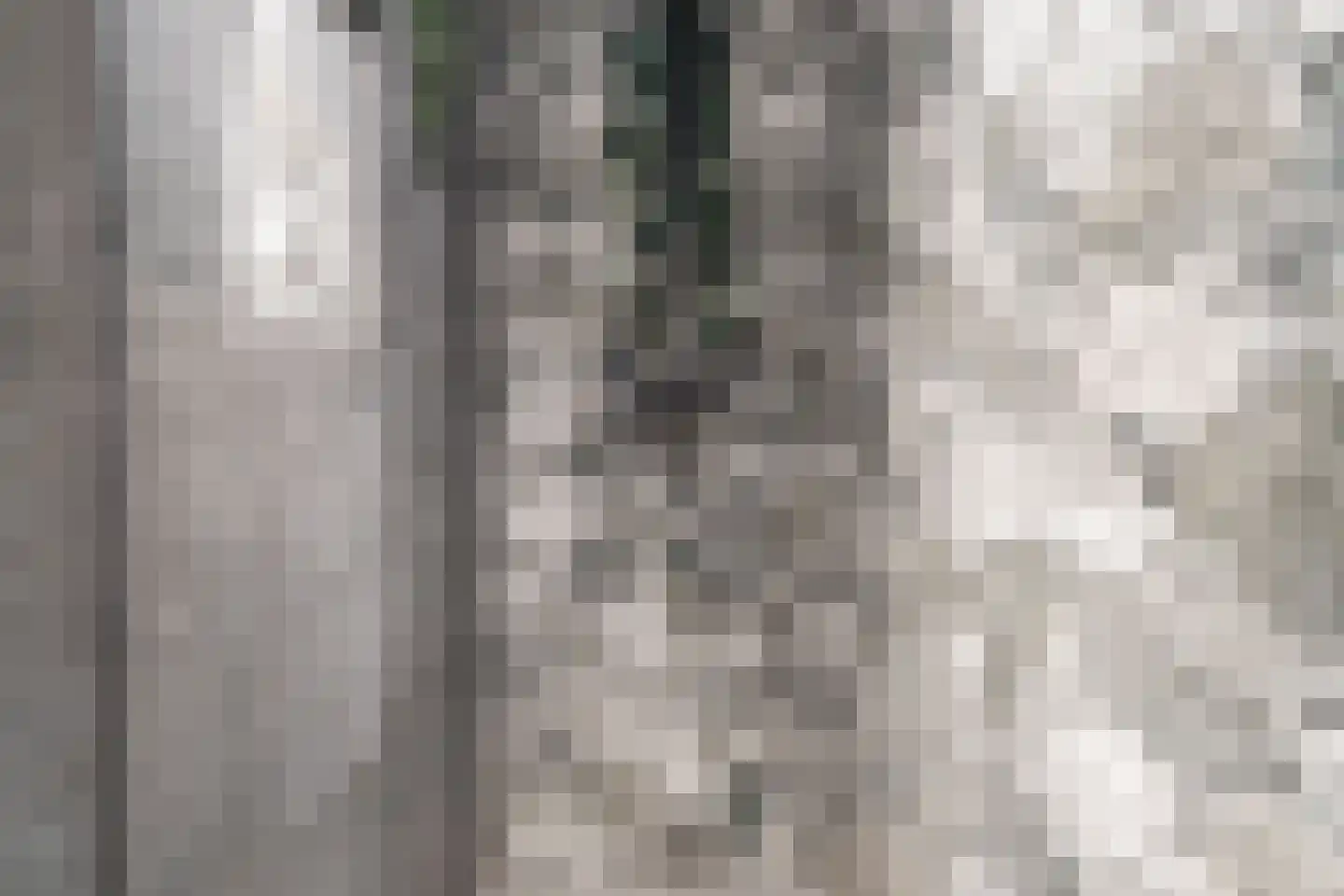 Mauritsstaete 6 Leiderdorp thumbnail 33