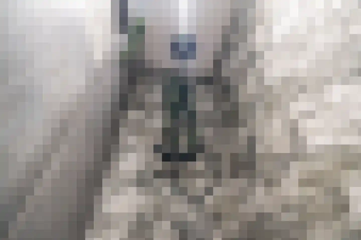 Mauritsstaete 6 Leiderdorp thumbnail 34