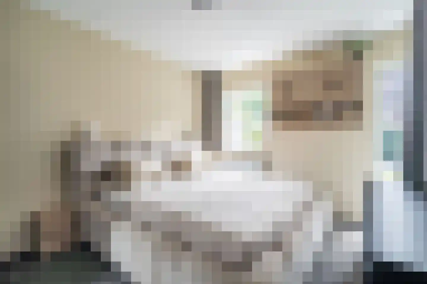 Mauritsstaete 6 Leiderdorp thumbnail 35