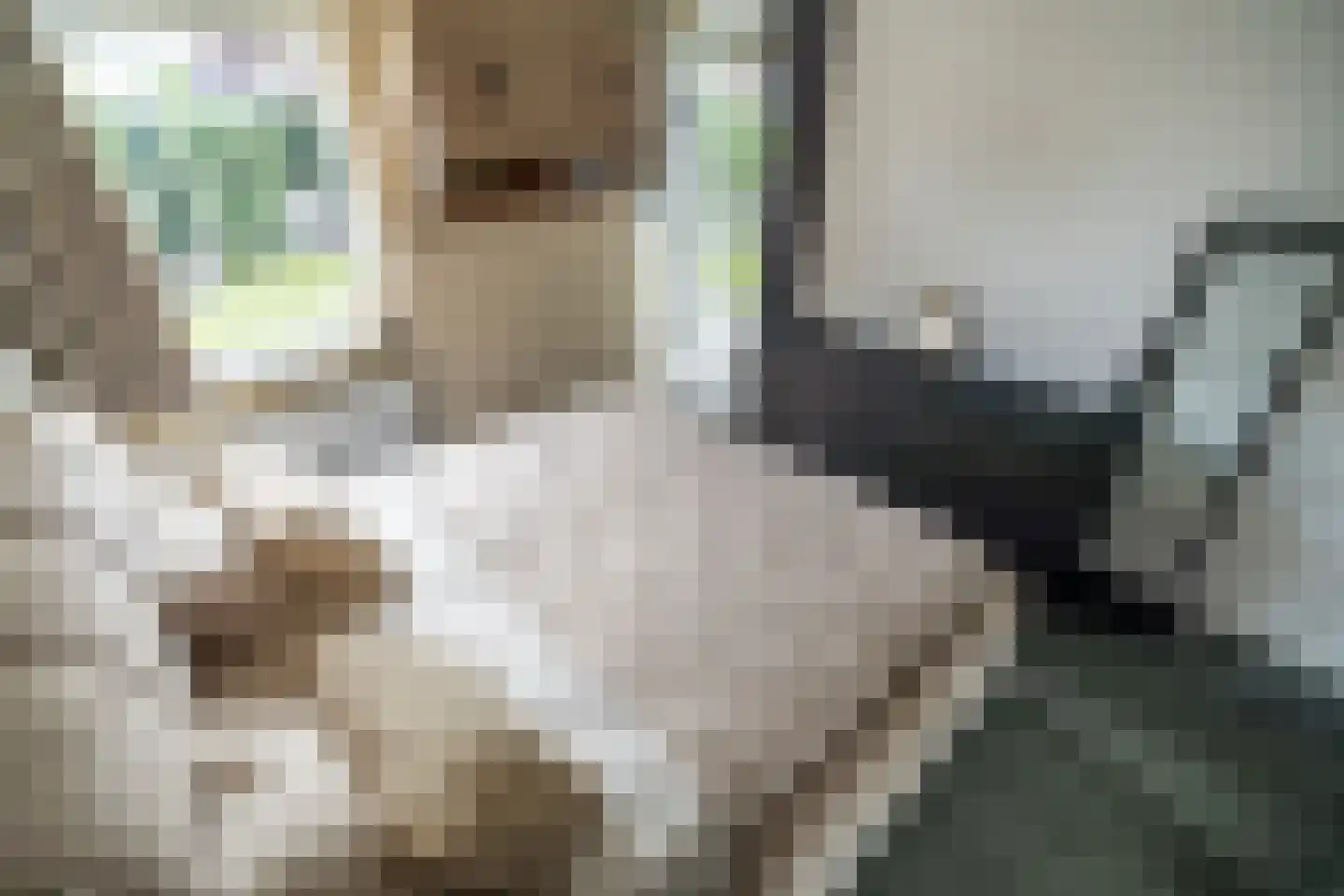 Mauritsstaete 6 Leiderdorp thumbnail 36