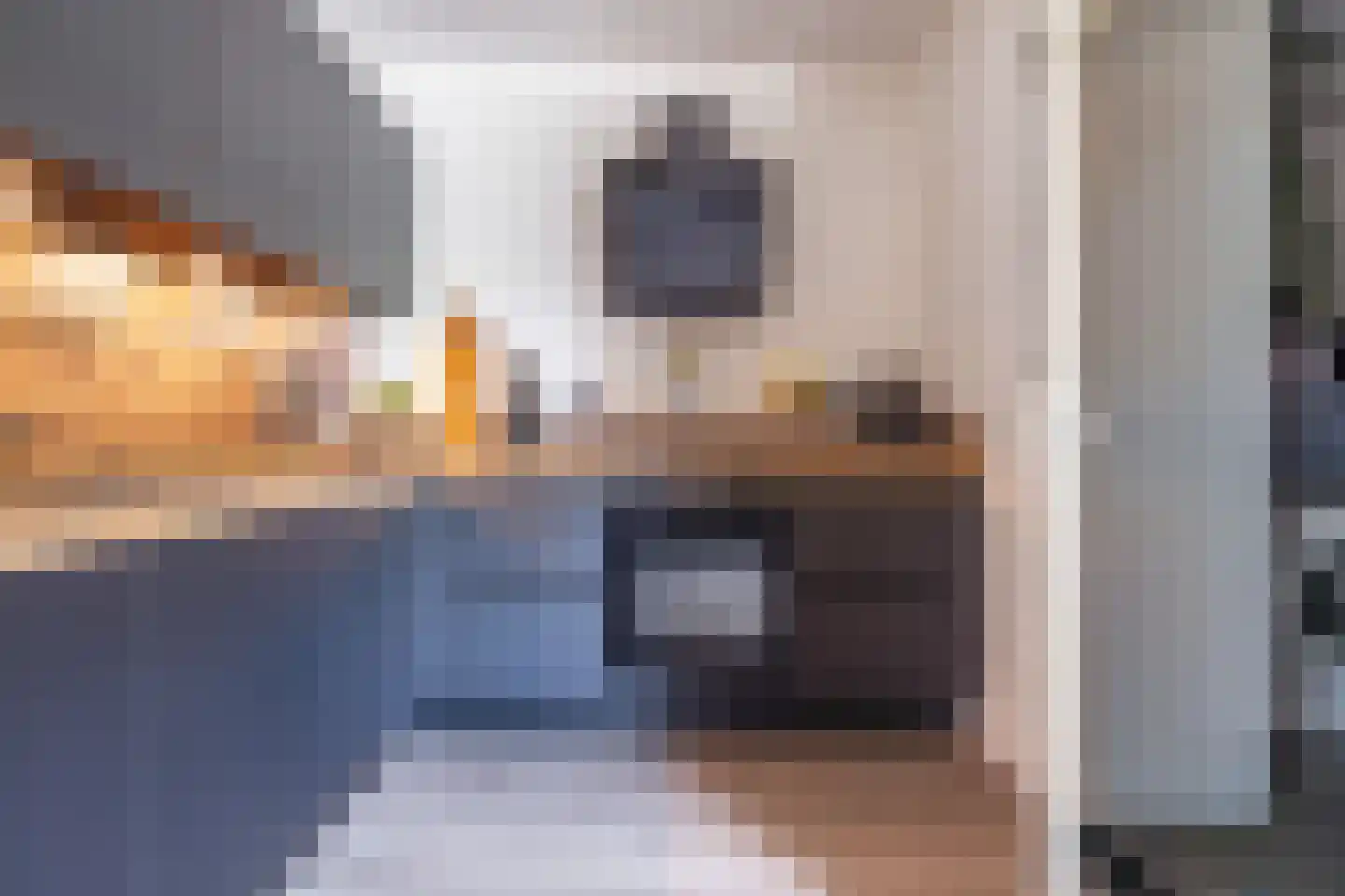 Mauritsstaete 6 Leiderdorp thumbnail 5