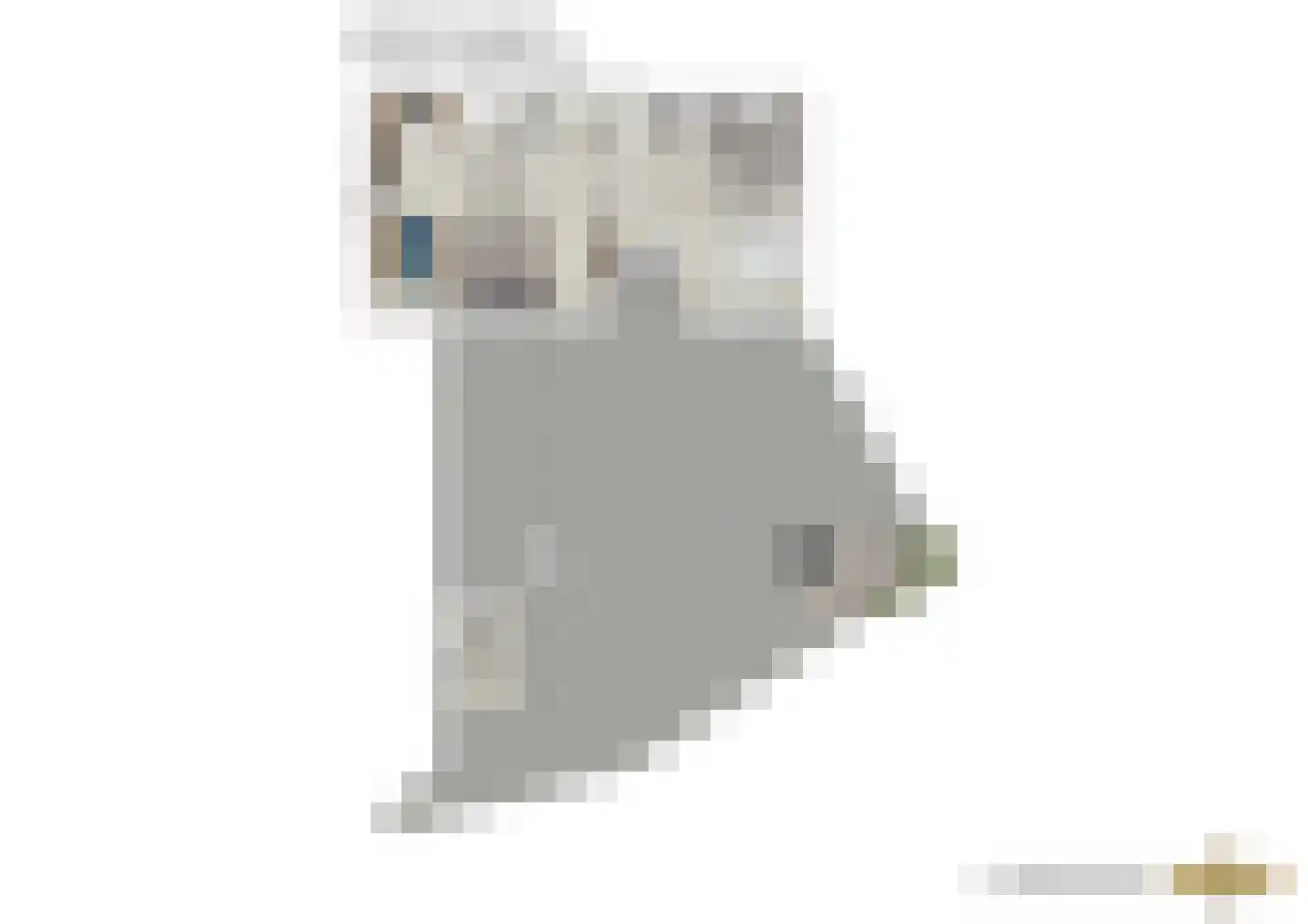 Mauritsstaete 6 Leiderdorp thumbnail 52