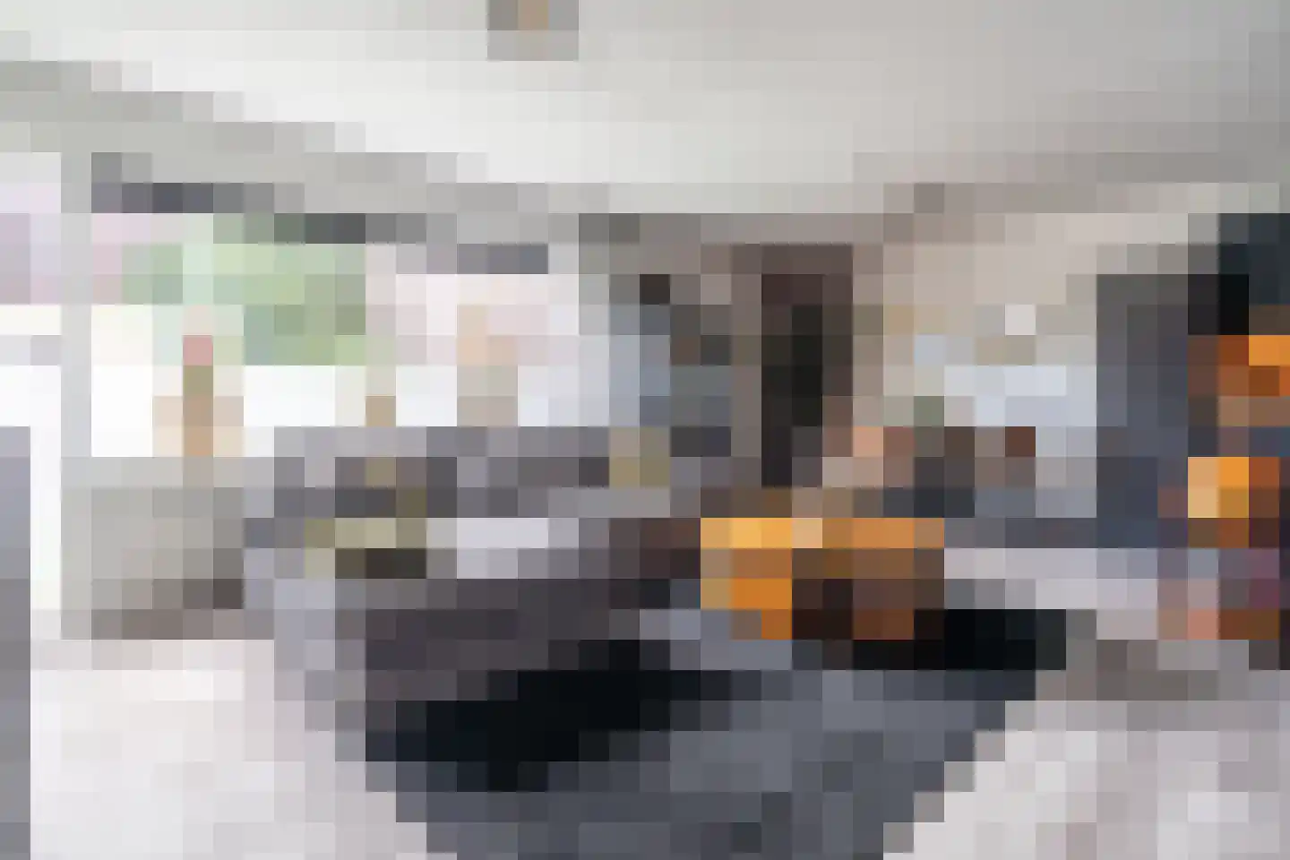 Mauritsstaete 6 Leiderdorp thumbnail 6