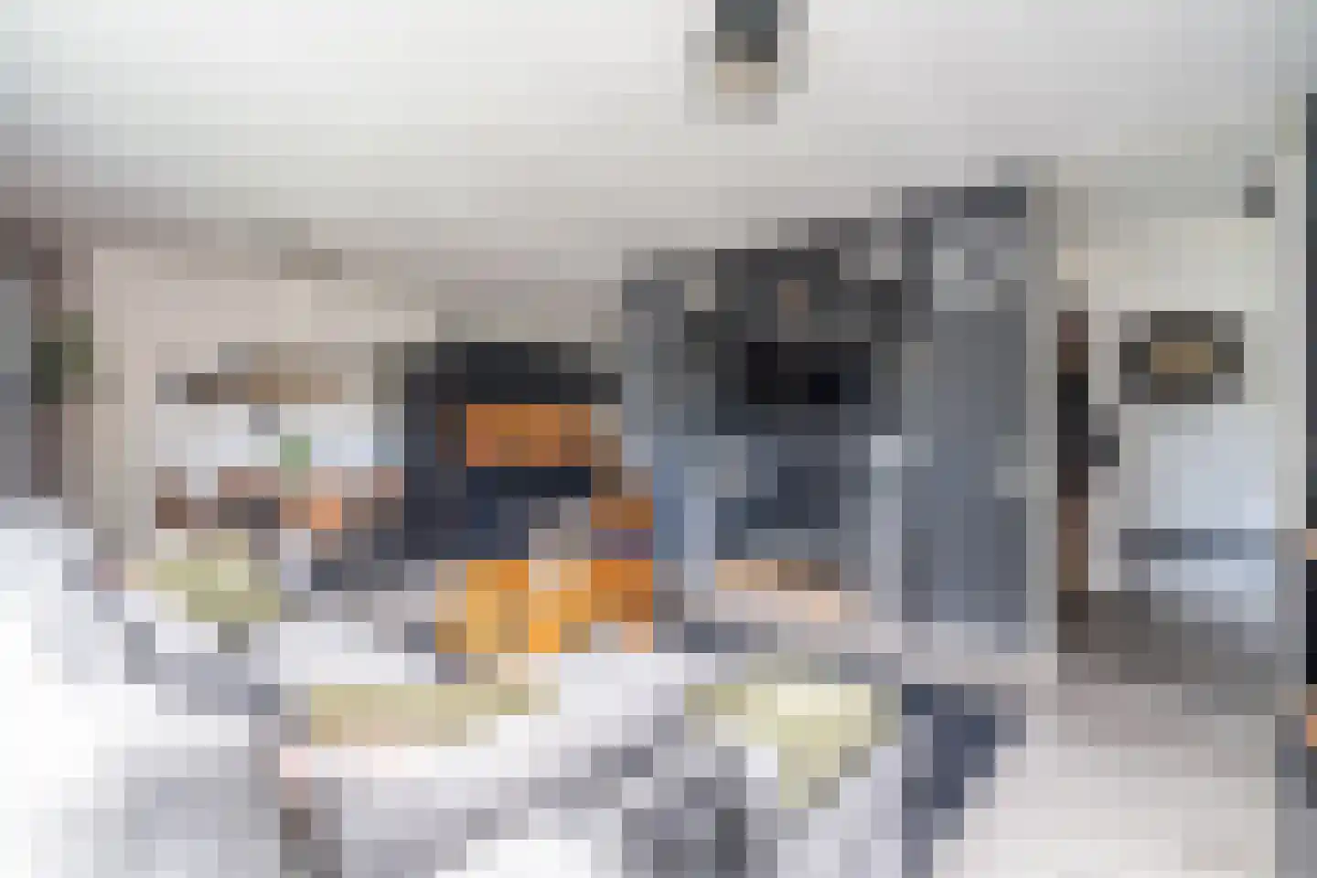 Mauritsstaete 6 Leiderdorp thumbnail 8