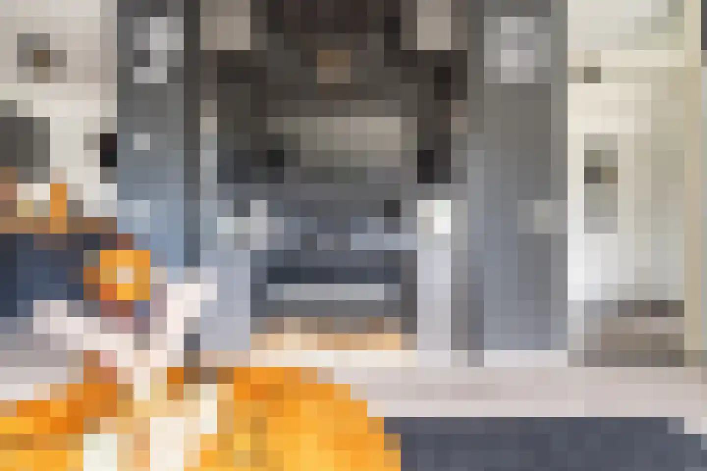 Mauritsstaete 6 Leiderdorp thumbnail 9