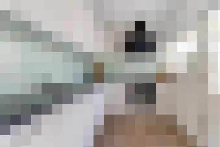Mauritsstraat 10 Goes thumbnail 11
