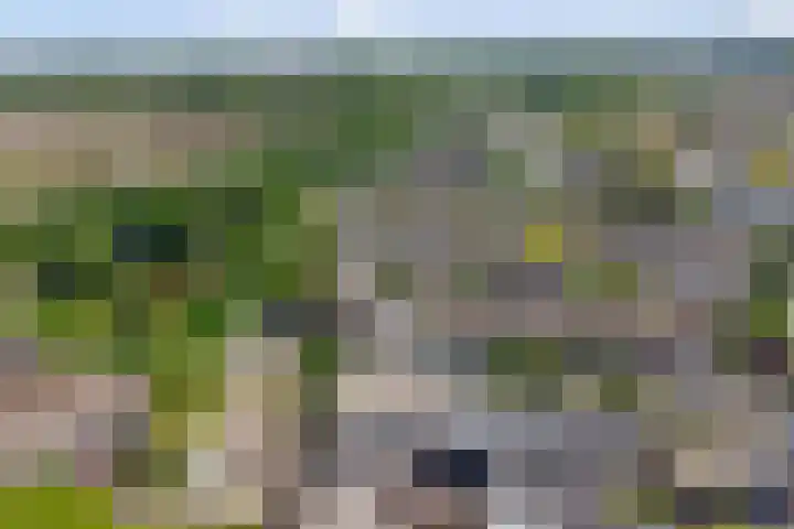 Mauritsstraat 10 Goes thumbnail 36